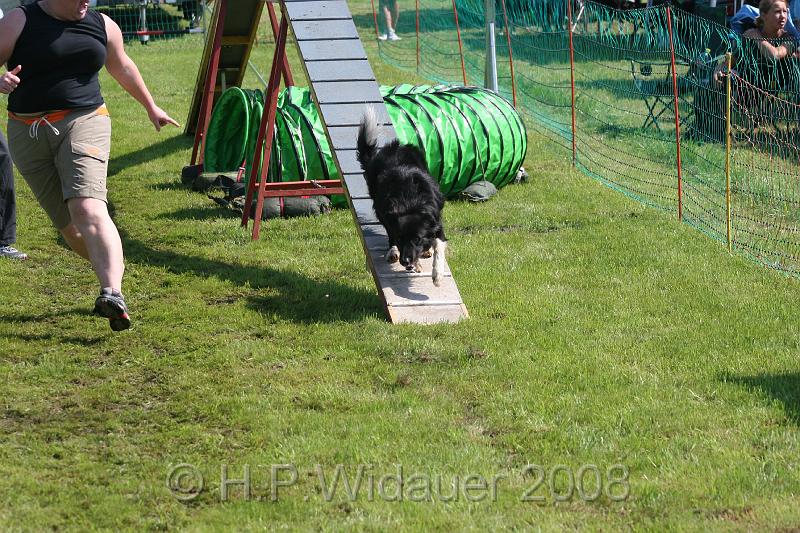 jubil.lusten. 248.jpg